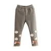 Primavera Autunno 2 3 4 6-10 anni Bambini Cotone Grigio Blu Figura intera Capri con fiocco Fiore Pizzo per bambina Leggings Bambini 210701