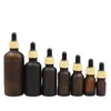 Bottiglia di vetro Frost Brown Imballaggio cosmetico Contenitore ricaricabile Contagocce in gomma Fiale di olio essenziale vuote 5ml 10ml 15ml 20ml 30ml 50ml 100ml Coperchio in plastica in finto legno