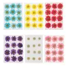 12Pcs/Bag New Colorful Pressed Daisy Artificial Dried Flower Pendant Necklace Resin Jewelry Making DIY Crafts Art Accessories Y0630