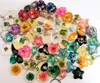70 pcs fashion keychain mixed real four leaf clover starfish vogue sunflower ring design jewelry