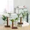 Teraryum hidroponik bitki vazolar vintage saksı şeffaf vazo ahşap çerçeve cam masa üstü bitkiler ev bonsai dekor 2104093792437
