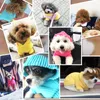 Pet Kazak Hoodies Sıcak Kış Köpek Giysileri Köpek Giyim Küçük Köpekler Chihuahua Yavru Kıyafet Moda Gökkuşağı Tasarım Ceket Yorkie Hoodie Toptan Sarı XXS A262