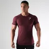 Male T-shirt Summer Sports Short-Sleeved Tops Fast Drying Training Breathable Compression Jogging Tights Gym Fitness Tracksuit