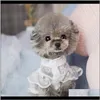 Fournitures de vêtements Accueil Jardin Drop Livraison 2021 Dentelle Animaux Chiens Vêtements Pour Petit Chien Moyen Chihuahua Chiot Solide Chemise Pour Animaux De Compagnie Carlin Bul Français