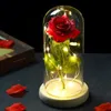 Party Favor 2021 Romance Artificiales Flower In Glass Dome Rose LED Battery Birthday Valentine's Day Present Gift For Christmas Girlfriend