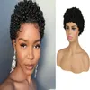 afro curly hair wigs