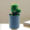 Dekoracyjne kwiaty Wieńce Sztuczne rośliny Nie Wilting Fake Bonsai Kaktus z doniczką