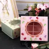 Rosa/grüne Macaron-Box mit transparentem Fenster, Dessert-Macarons, Gebäck-Verpackungsboxen, Event-Partyzubehör, Dezember RRD13622