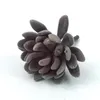 Couronnes De Fleurs Décoratives Simple Simulation En Plastique Plante Succulente Gemme Poilue Lotus Vert Bouteille Fleur Maison Intérieur Bureau Décoration S