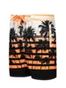 Quick Seco Verão Mens Swimwear Beach Board Curtas Becos para Homens Swim Trunks Natação