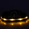 Dog Collar Leashes 7 färger S M L XL Storlek för Pet Dogs Collar Harness Nylon Led Night Safety Anti-Lost blinkande glöd