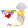 Dog Collars & Leashes Arrival Product Cute Angel Pet And Set Puppy Leads For Small Dogs Cats Adjustable XS S M