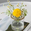 Nordic Simple Creative Home Flower Regeling Vaas Decoratieve Cup Decoratie Woonkamer Glas Plant Vazen Tafelblad Hydroponic 210623