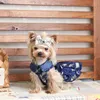 Dog Odzież High-End Royal Blue Luksusowe Suknie Ślub Princess Bankiet Pet Ubrania Bomei Odzieżowa Wiosna Chihuahua Yorkie Maltańczyk