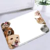Dusch gardiner husdjur hund set badmattor ingång dörr matta intresse design kök badrum barn rum dekor icke-halk mattor mattor
