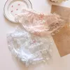 Women's Panties Kawaii Lingerie Lace Underwear Women Girls Blue Pink Briefs Japanese Sexy Cute Thongs Lolita Panty Ruffles Mid-rise