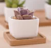 Succulents Fleshy Flowerpot Pots Pure Color Ceramics Letter Love Simple Small Home Garden Decoration