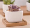 Succulente Vaso da fiori carnoso Vasi in ceramica di colore puro Lettera d'amore Semplice piccola decorazione del giardino domestico