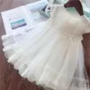 Summer Girl Clothes Kids Dresses For Girls Lace Flower Dress Baby Girl Party Wedding Dress Children Girl Princess Dress 3 8Y 2347 V2