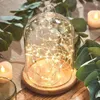 Clear Vases Glass Flower Display Cloche Bell Jar Dome Immortal Preservation with Wooden Base Flower Glass Cover Home Decor 210409