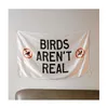 Flagge „Birds Aren't Real“, 150 x 90 cm, Digitaldruck, 100D-Polyester, zum Aufhängen im Innen- und Außenbereich, mit 2 Messingösen