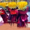 100Pcs/lot Natural Dried Flower Wheat Ear Bouquet for Weddomg Living Room Decoration Flloral Arrangement Mall Window Chen Mei Layout