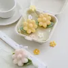 CCake Topper Reative Shooting Props Flower Aromatherapy Birthday Gift Set Scented Candle Hyuna Home