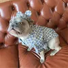 Luxury Dog Denim Shirt With Hat Set 4 Seasons Cute Pet Cat Dog Coat Small Medium Dog Teddy Pug Pomeranian Corgi