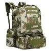 Ryggsäckspaket 50L utomhus ryggsäck molle militär taktisk ryggsäck ryggsäck sportväska vattentät camping vandring ryggsäck för resor P230508