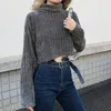 Unisex European And American Women's Fashion Knitted Plain Weave Solid Color High Neck Striped All-match Short Sweater Sweaters