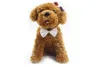 Schattige hond kleding 19 kleur verstelbare huisdier boog accessoires decoratieve gepersonaliseerde schoonheid benodigdheden groothandel