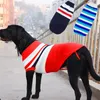 платбульская собака одежда