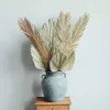 Foglia di Dracaena fruticosa, ramo di Sago Cycas della pianta essiccata naturale, foglie di palma secca, decorazione della tavola di casa per matrimoni 210624