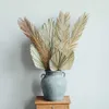 Fruticose Dracaena Leaf Leaf Natural Dired Plant Sago Cycas Branchdry Palm Fan Fan Fan Leafparty Свадебный домашний стол