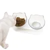 Cat Bowls مغذيات عاء الحيوانات الأليفة الغذاء المياه 15 مائلة تغذية الكلب خالية من الإجهاد مع رفع دعوى للقطط الصغيرة
