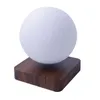 manyetik levitating ay lambası