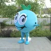 Halloween Cute Blueberry Mascot Costume High Quality Cartoon Fruit Plush Anime theme character Adult Size Christmas Carnival Birthday Party Fancy Outfit