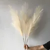 122cm Bulrush Artificial Pampas Grass Phragmites Plants Wedding Flower Bunch Decoration DIY Home Decor Fake Flowers Reeds Grass Y0630