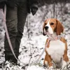 Guinzaglio per collare per cani personalizzato Set Collari per animali personalizzati di alta qualità con papillon Collari per cani regolabili Guinzaglio Incisione gratuita 211006