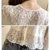 Koreaanse kanten lange mouwen shirt lente floral borduurwerk vrouwen blouse mode vrouwen v-hals slanke holle chiffon tops 13515 210518