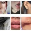 Mały Hoop Nos Kolczyk Ladies Moda Temperament Uszu Kości Stal Stalowa Kolor Pierścień Kobiety Tragus Piercing Body Biżuteria