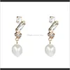 Charm Jewelry Drop Delivery 2021 Fan Geometry Diamond Imitation Pearl Super Flash Earrings Girls Heart Fantasy Temperament Cold Wind 6R8Tl