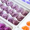 21 pz/scatola fai da te 2-3 cm rose eterne fiori naturali conservati rosa immortale festa della mamma regalo decorazione di nozze gocce ghirlande decorative