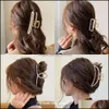 Other Fashion Aessories Small Gras Card Clip Exquisite Hair Volume High-End Back Brain Pin Adt Female Korean Drop Delivery 2021 Pavrw