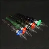 Hookahs Mini Pipe Concentraat DAB Straw Nectar Kit met roestvrijstalen punt omgekeerde nagel kwarts Tips Oil Rigs Glass Bong