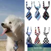 Husdjur slips mode katt nacke justerbar kattunge tryckt hund valp krage grooming mata slumpmässig färg kläder fabrikspris expert design kvalitet senaste stil