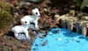 Garden Decorations 30pcs MOQ High quality lovely mini handcraft white goat fairy miniature landscape home decorative animals Usage RH5414