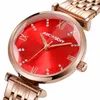 Novo AC2456 de Ocassidy Live Casual Moda Casual Quartz Fine Steel Watch