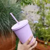 2021 16oz tumblers retos duplos camada bebendo suco de suco com lábio palha caneca Costom plástico xícaras muitas cores fy4421