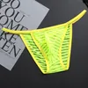 wholesale mesh panties Thongs transparent mens g-strings underwear knickers boxers lingerie low price 2436